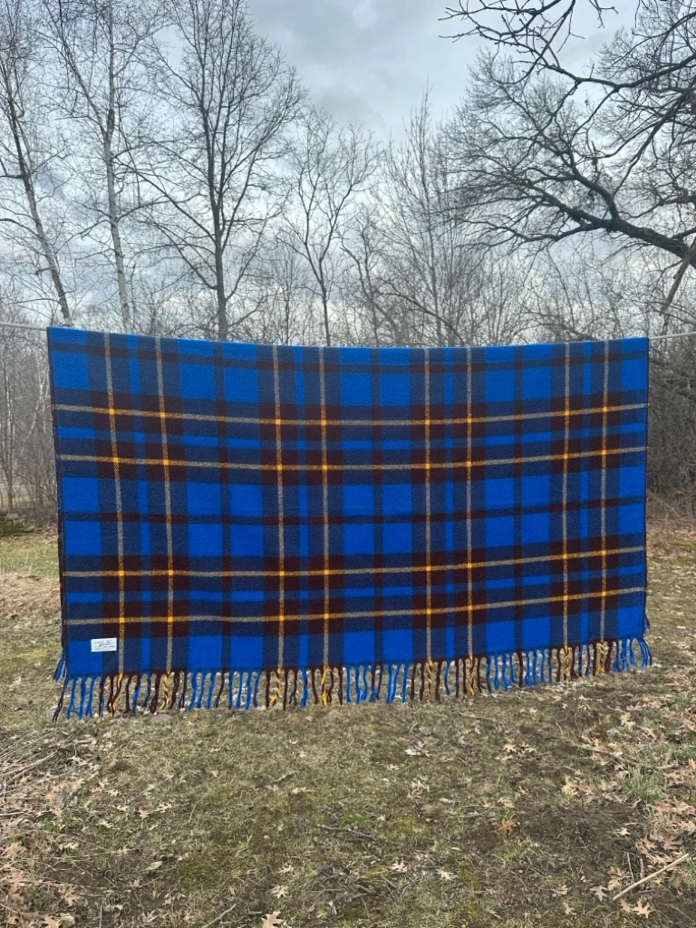 Vintage Faribo Blue Plaid Wool Camp Stadium Blanket Fringe Throw Cabin Lodge USA